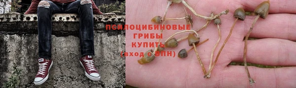 шишки Беломорск