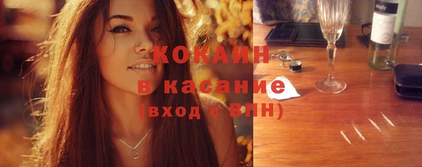 шишки Беломорск