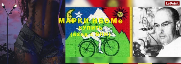 гашик Белокуриха