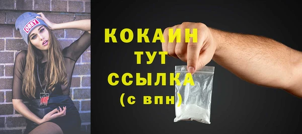 гашик Белокуриха