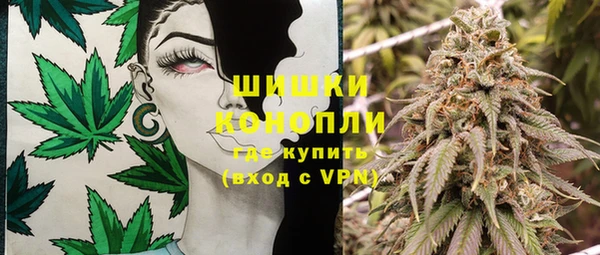 шишки Беломорск