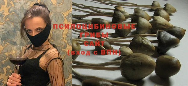 шишки Беломорск