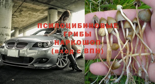 гашик Белокуриха