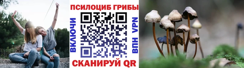 Галлюциногенные грибы прущие грибы  Мглин 